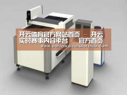 产品名称十五