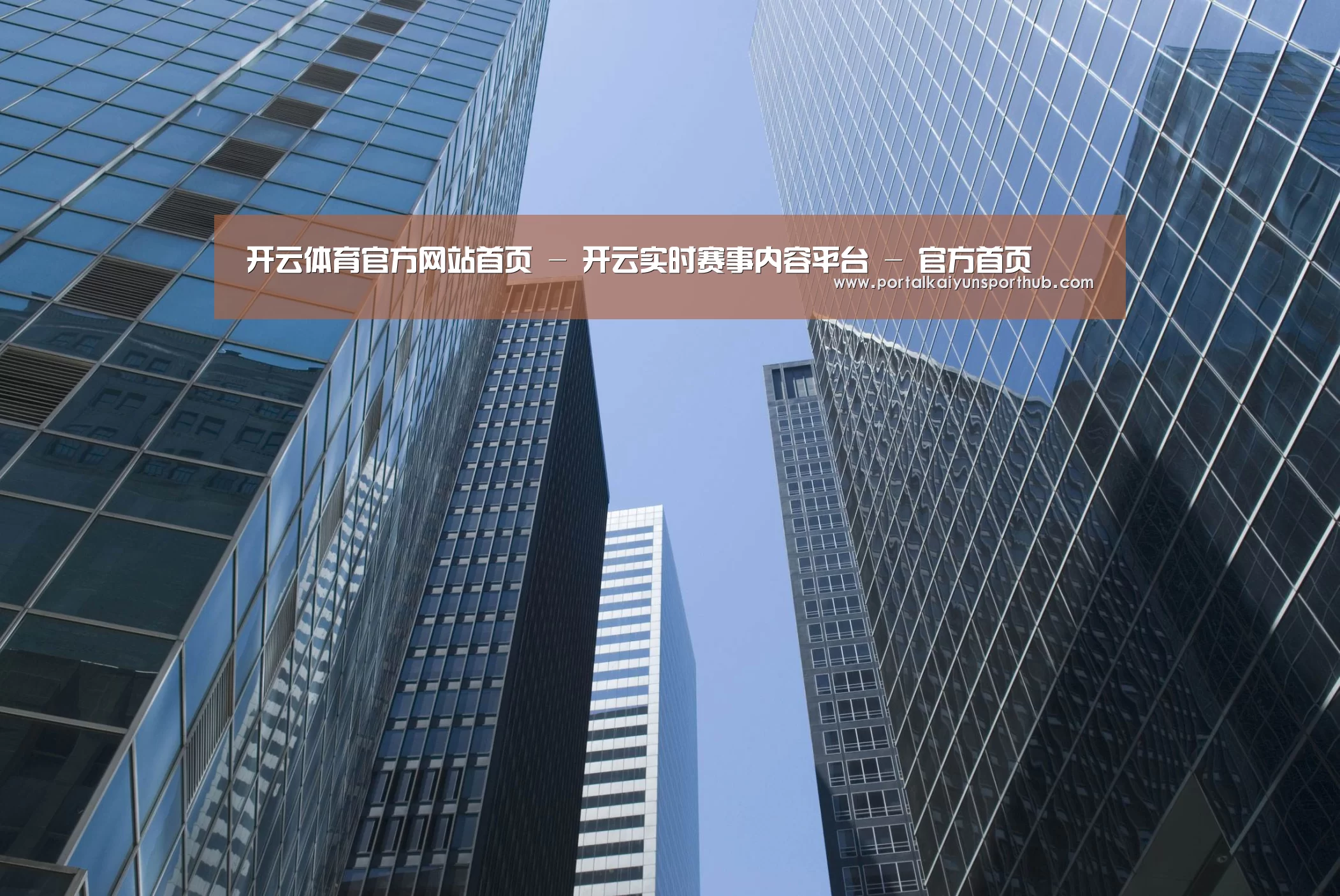 开云体育官网公司简介 