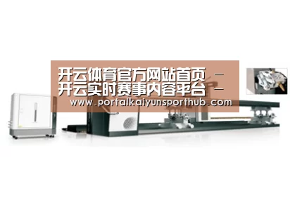 视频展示一