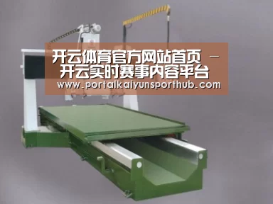 产品名称十
