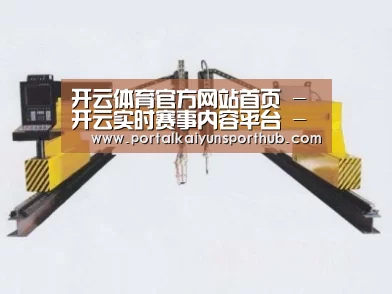 产品名称十七