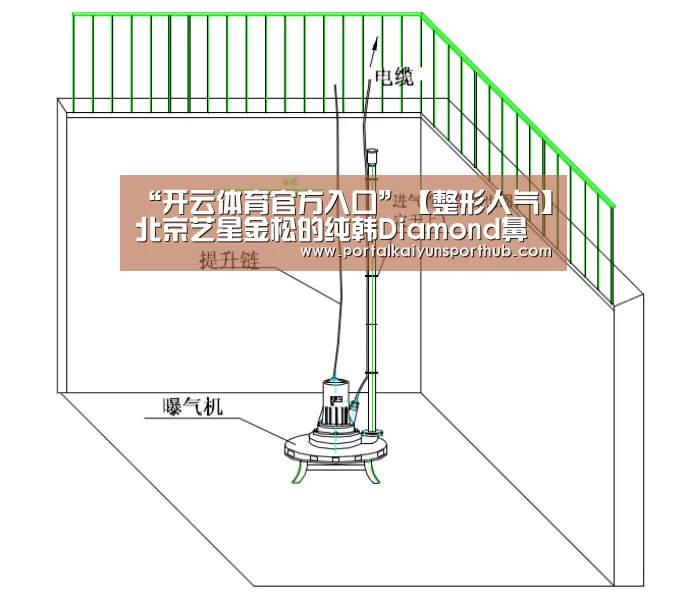 开云体育官方入口