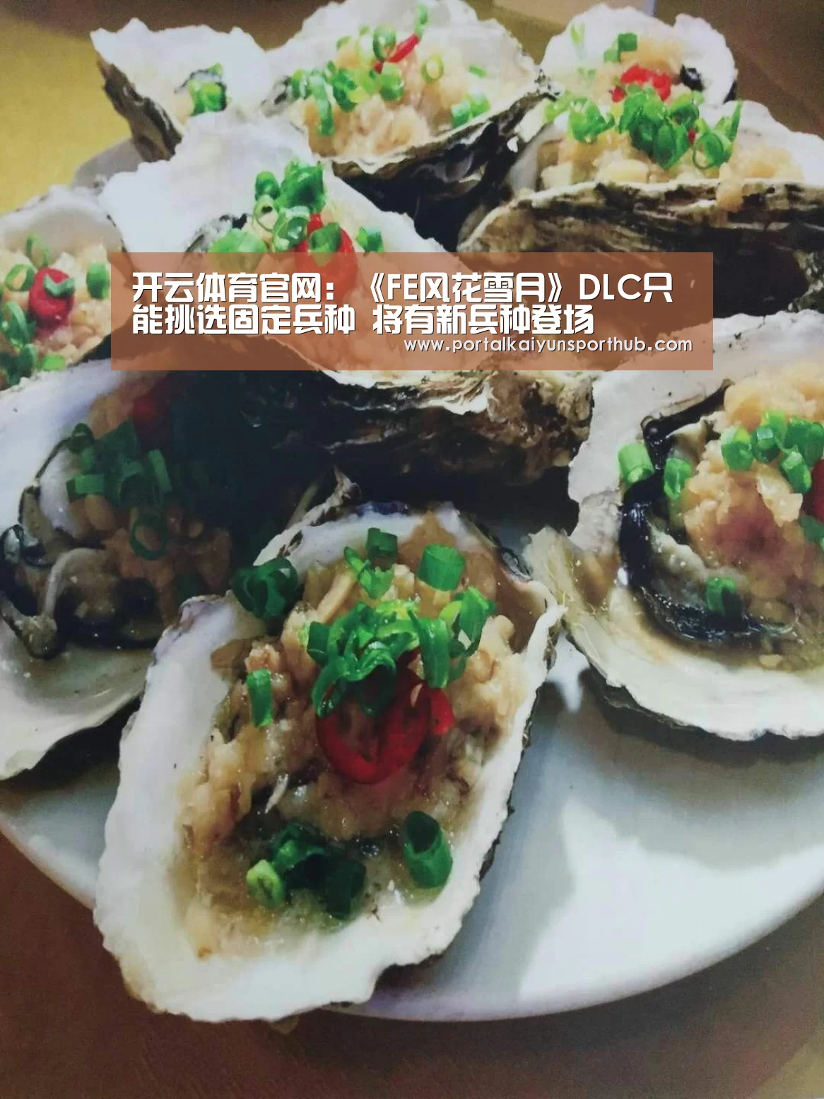 开云体育官网:《FE风花雪月》DLC只能挑选固定兵种 将有新兵种登场(图2) 开云官网