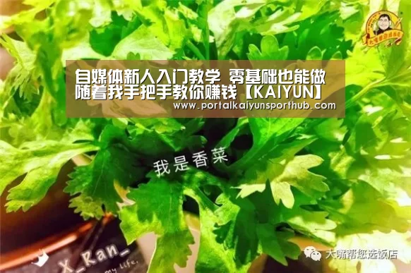 自媒体新人入门教学 零基础也能做 随着我手把手教你赚钱【KAIYUN】(图3) 开云官网