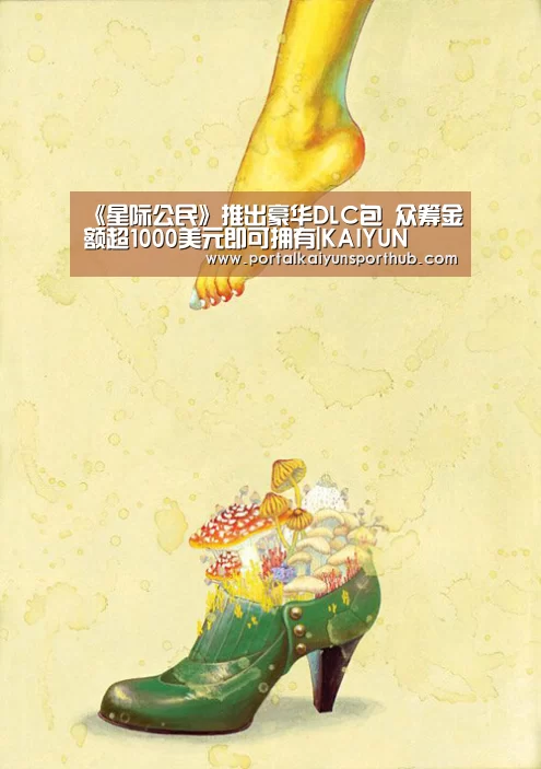 《星际公民》推出豪华DLC包 众筹金额超1000美元即可拥有|KAIYUN(图1) 开云体育官网